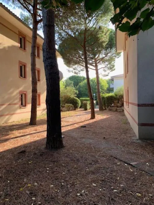 Appartement T1 Residence Sporting 1Er Etage Toulouse